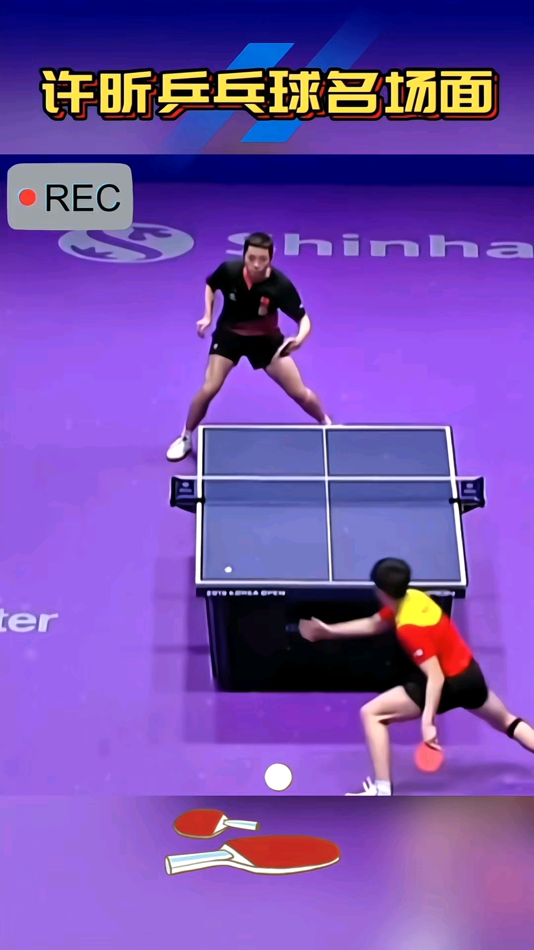 日本乒乓球队强势瑞典乒乓球队，许昕三分雨点燃全场的简单介绍