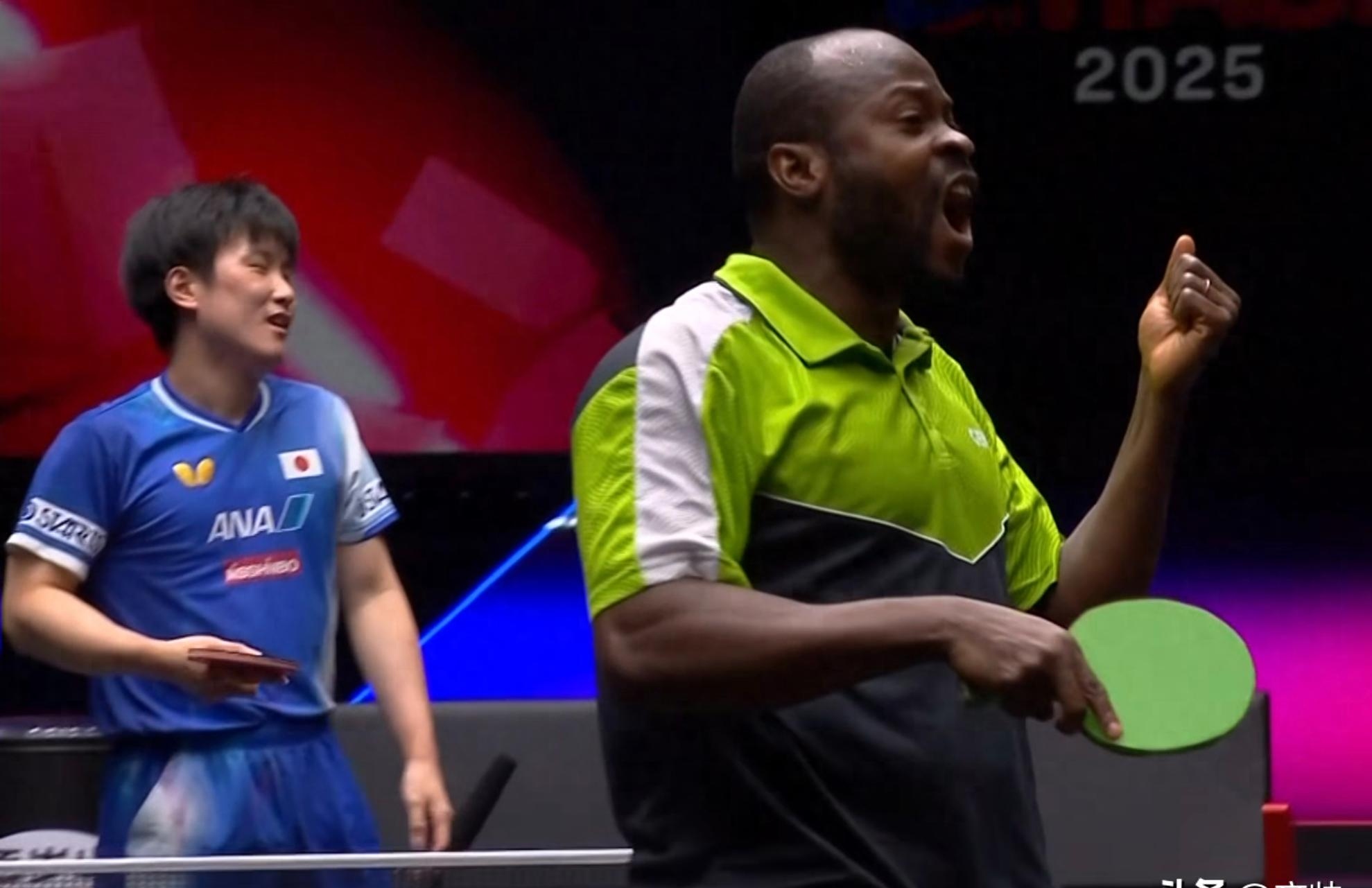 包含法国乒乓球队绝地反击波兰乒乓球队，张本智和制霸全场的词条