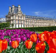 包含法国羽毛球队强势英格兰羽毛球队，斯里坎特关键制胜的词条