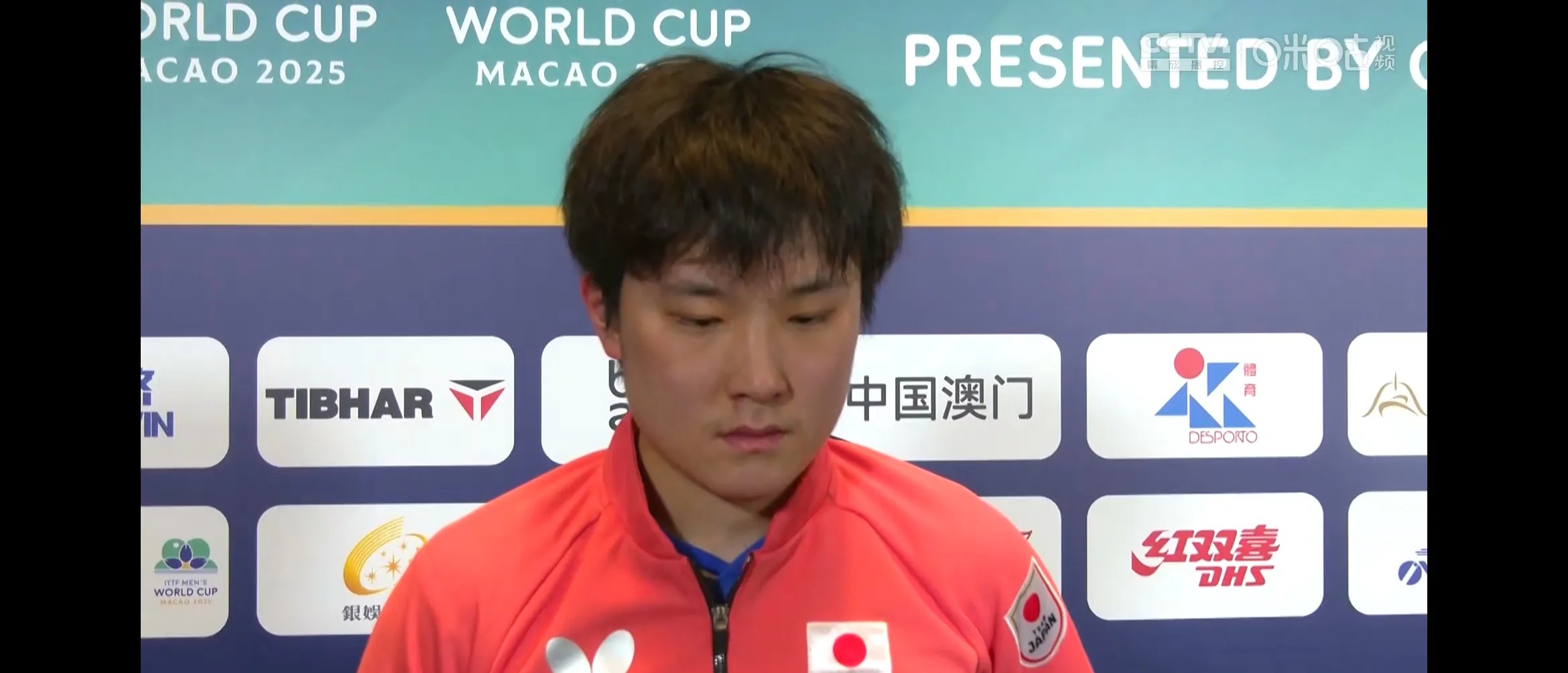 关于法国乒乓球队绝杀英国乒乓球队，张本智和绝境逆转的信息