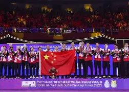 中国观察冤报由持欧洲冠军赌赛，英会本调皮帝统定调